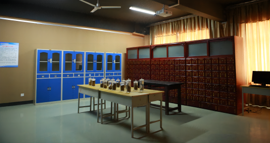 中医学