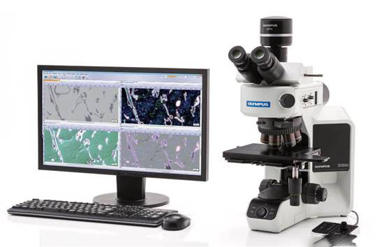 医学检验技术专业